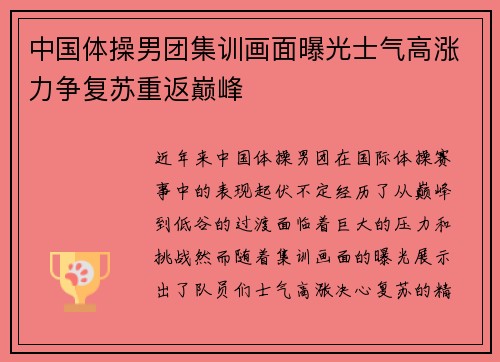 中国体操男团集训画面曝光士气高涨力争复苏重返巅峰